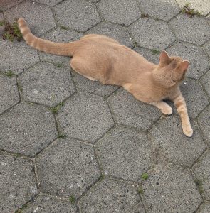 2025-04-20_6805716faedb8_20250420_164337