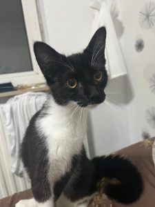 2025-05-05_6818d9b5a771c_image-12