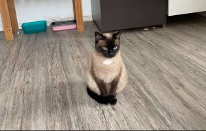 2025-05-21_682dda6bc265f_IMG_9521