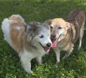 Betty und Alegro