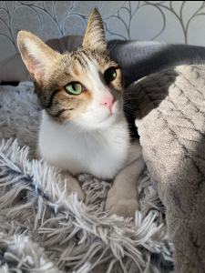 2025-08-11_68997a6d0bd75_IMG_9693