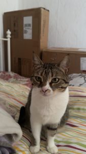 2025-08-19_68a4e0e03a712_IMG_9878