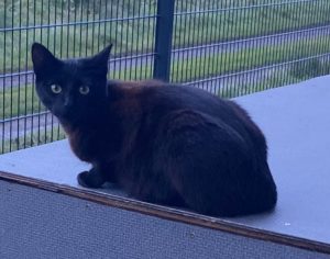 2025-08-22_68a88e8166c5b_IMG_3632