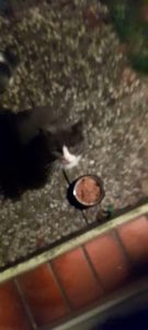 2025-09-05_68bb034dc0310_Screenshot_20250905-173139_VideoPlayer