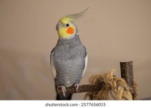 2025-09-17_68ca80858b72d_IMG_3417