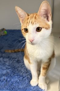 Max
