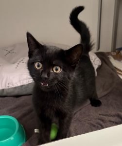 1b2e538c-f0a9-4e9d-a25e-f57657d5bf67