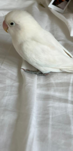 2025-12-10_693982b015720_Screenshot_20251210-151712