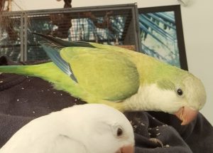 2025-12-10_6939c81390f72_20241016_124502