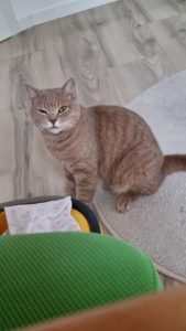 2025-12-19_6944e51000064_IMG-20251218-WA0012