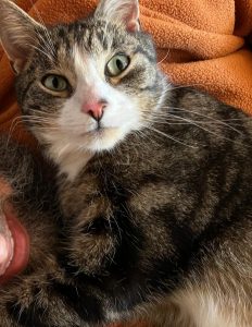 2025-12-19_694553a3b2eab_Screenshot_20251218_124049_Gallery