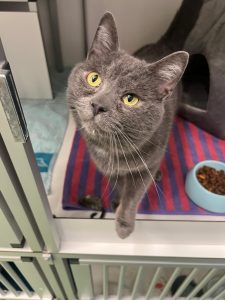 bafd13e4-44ee-4d91-8ad6-cc57c859c759