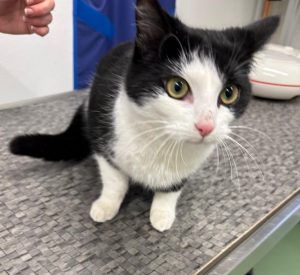 071585e3-1200-4bf4-9a29-e4951947f8f3