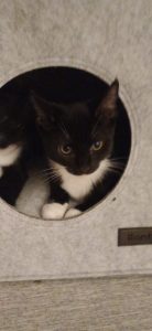 2026-01-02_69579bd94e061_Screenshot_20251115_085017_WhatsApp