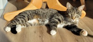 2026-01-05_695b98dc26916_IMG-20251216-WA00262