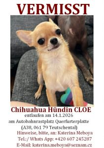 2026-01-23_69733aa4748c7_att.LYbkLm0mM3gM_5MyWaqHK-X68wRkTYh2Jcw9z8zdW3g