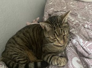 2026-01-23_6973537282850_Screenshot_20260123_115242_Gallery