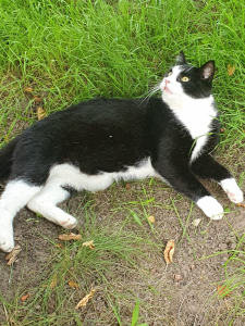 2026-01-25_6976289c3941b_IMG_9217