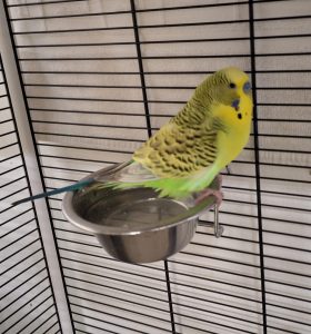 668bd2bd-cff7-4539-bb01-4cdeed02d69c