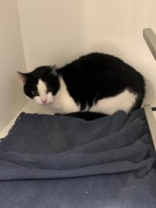 8342498e-53b0-493e-8b5f-7d2113c3030e