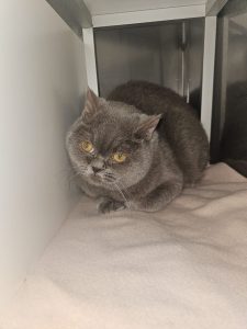 6030ac4f-1ca9-4f8d-bc59-c181fc24d34c