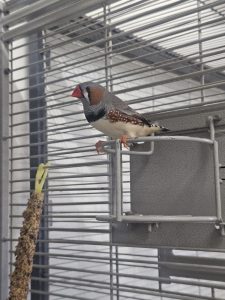 ca7ac3ce-f775-43ec-8d00-5394f3b2bb42