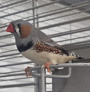 ca7ac3ce-f775-43ec-8d00-5394f3b2bb42