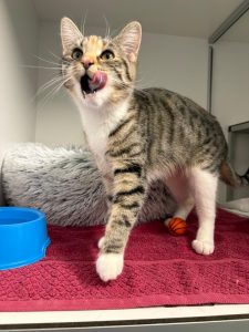 f65a9b26-dce0-4bc2-84ca-2f5084098bcd