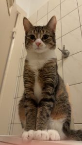 2026-03-20_69bd412e891a8_IMG_8824