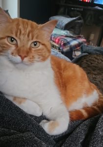 2026-03-27_69c6daca218db_IMG-20250627-WA0059