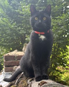 2026-04-25_69ec9bd0eb74d_IMG_0494