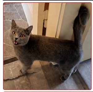 2026-04-29_69f21d6642a73_IMG-20260428-WA0004_edit_229916066502937