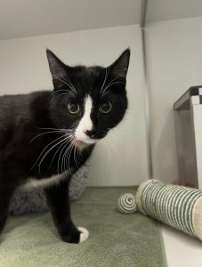 2c4d9890-04e1-45ed-84a0-c184af0337fd